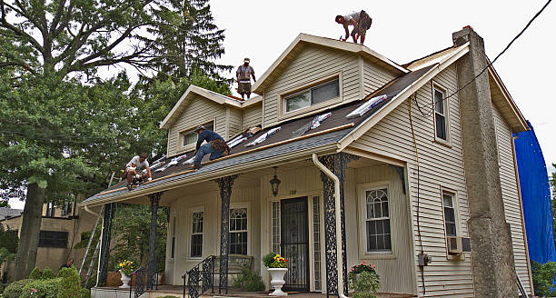 Best Gutter Installation and Roofing  in Dunlap, IL