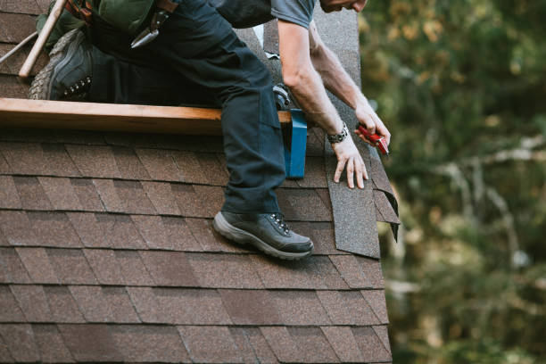 Best Roof Gutter Cleaning  in Dunlap, IL